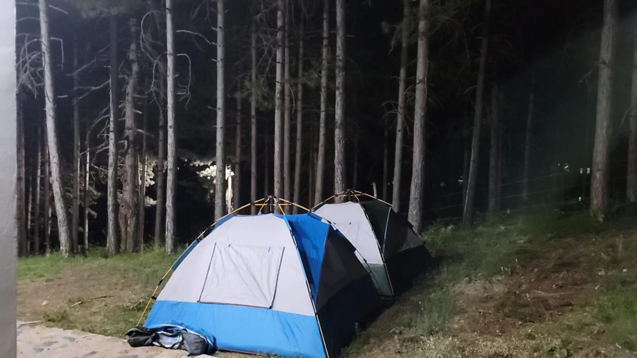 Bujtinat Skenderi Gjinar 2 Villa Værelse billede